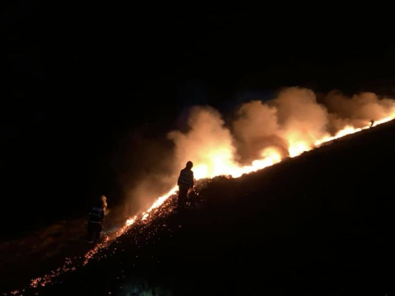 Firefighters battle large gorse fire overnight