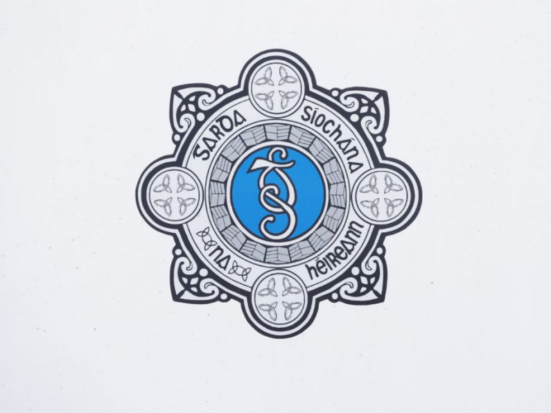 Garda continue to investigate discovery of suspected skeletal remains