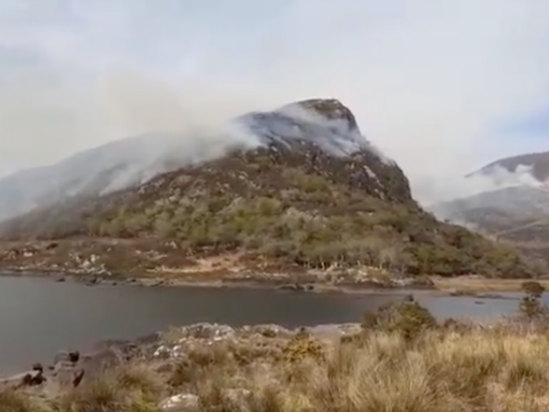 Killarney National Park fire investigation 'pointing towards accidental'