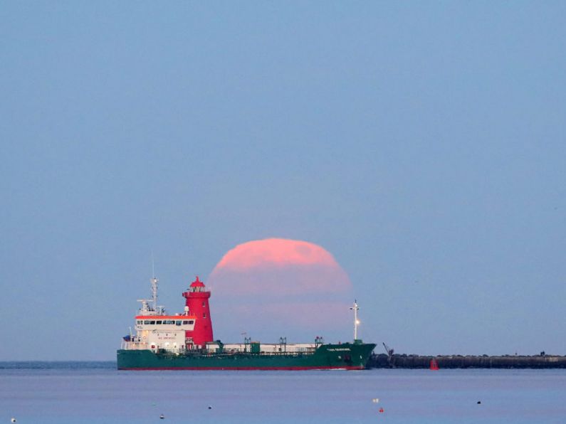 Pink supermoon lights up the dawn skies