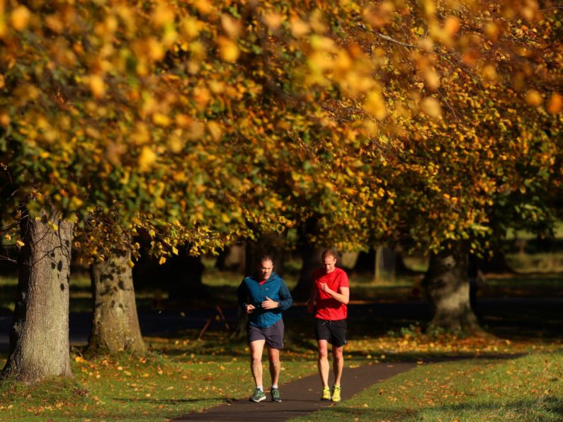 Dip in pandemic surge of adults exercising from home