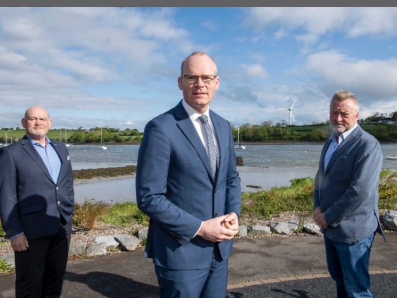 Energy company announces plans for Ireland’s first Green Hydrogen facility