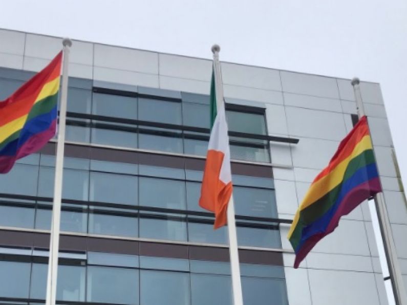 Pride flags cut down in Waterford in 'truly despicable act'