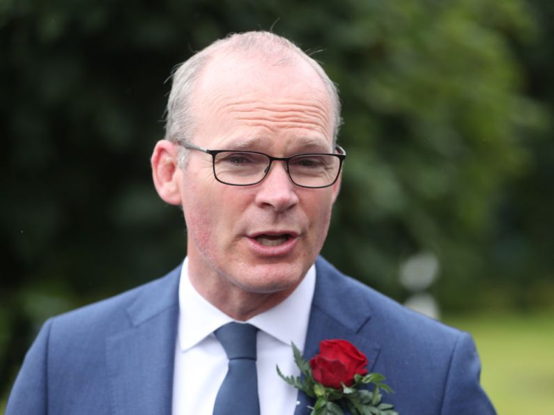 DUP needs to be given ‘space’ after Poots resignation, Coveney says