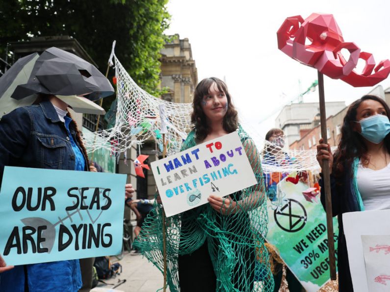 Protest outside Leinster House calling for action to protect Irish seas