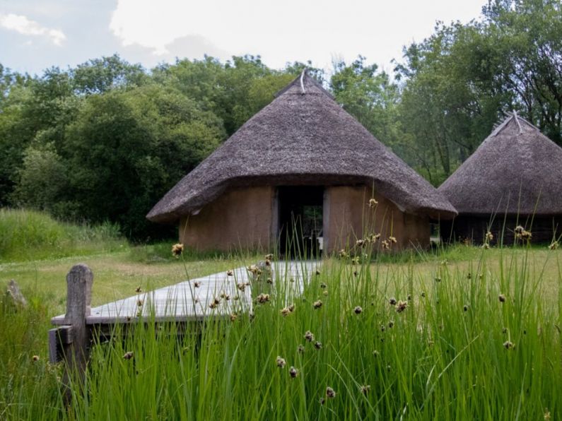 Volunteers sought for community archaeological dig in Wexford