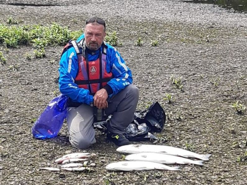 Major fish kill in west Cork's Skibbereen under investigation