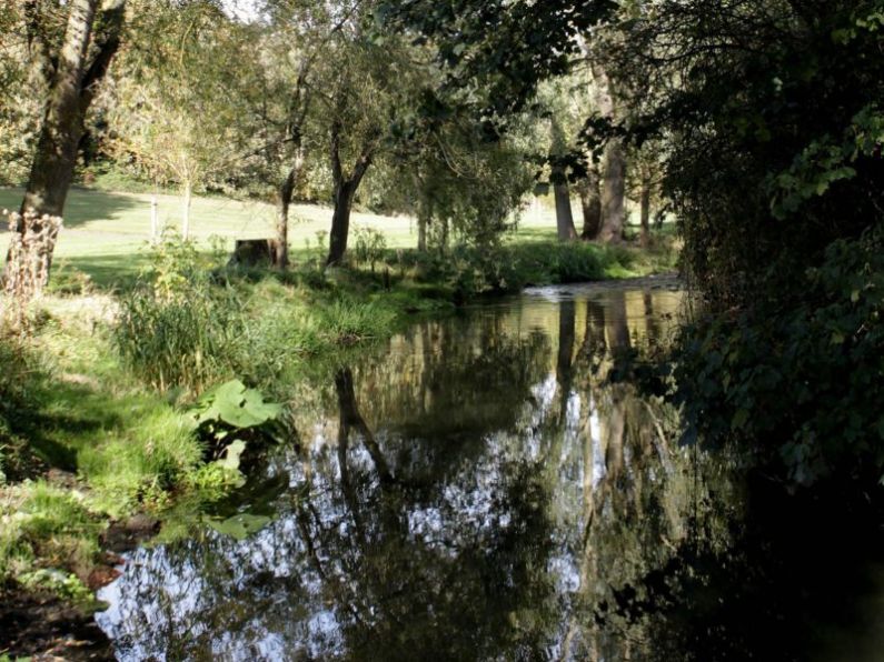 Weed killer company to pay up over pollution of Dublin river