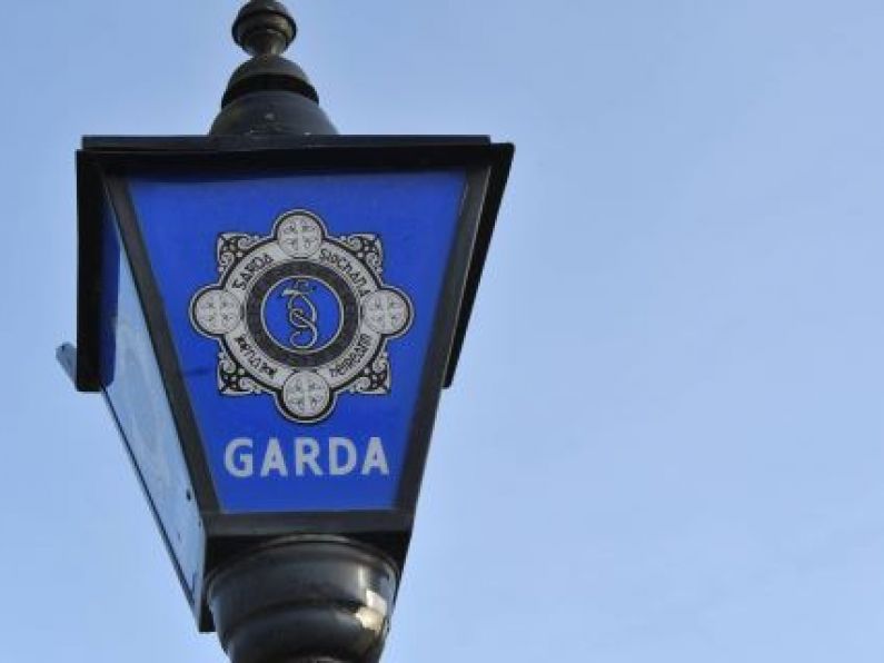 Man (29) arrested in Dublin on suspicion of directing criminal organisation