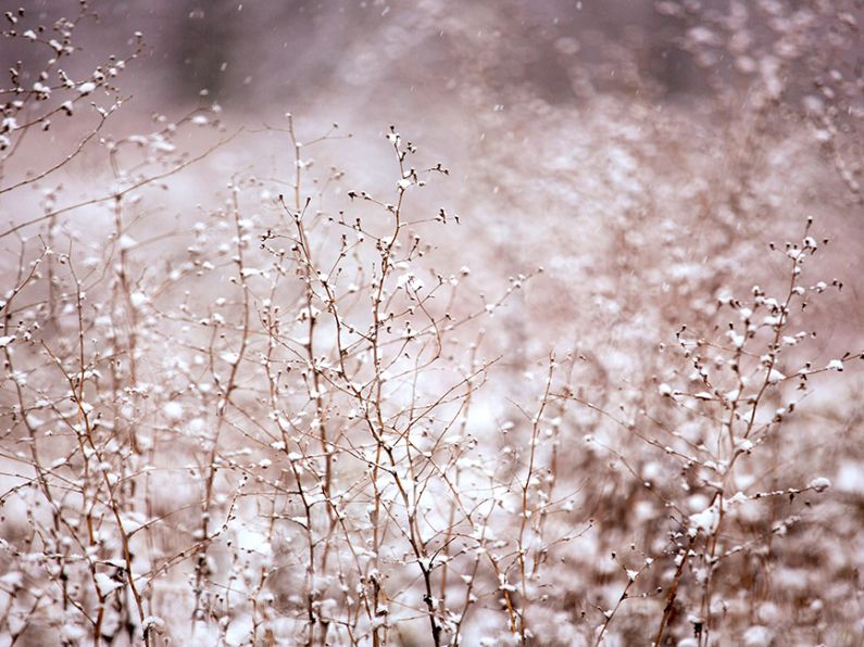 Met Éireann warn of cold snap from tomorrow