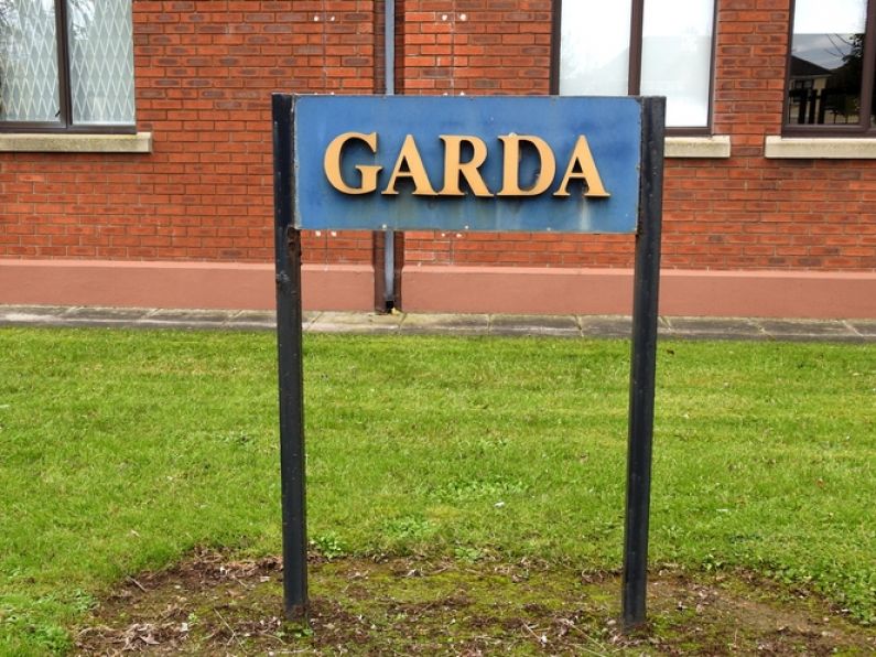 Newspaper may inspect redacted version of Garda report provided to Minister, judge rules