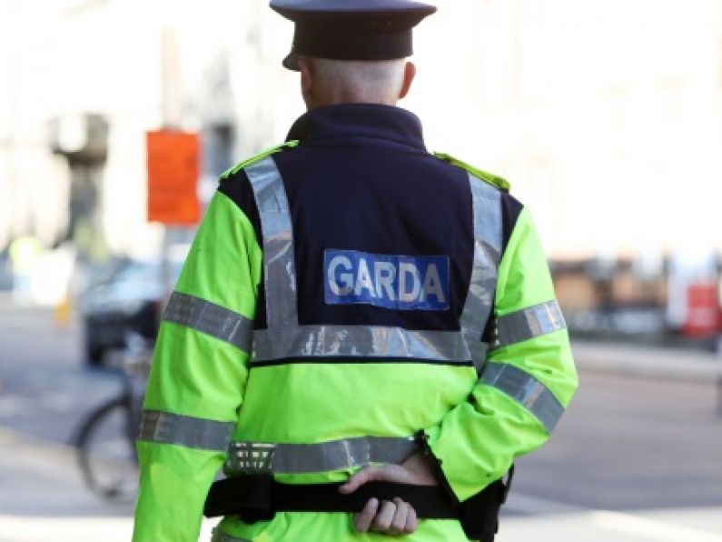 Crowd seen ‘partying’ in Dublin park dispersed by gardaí