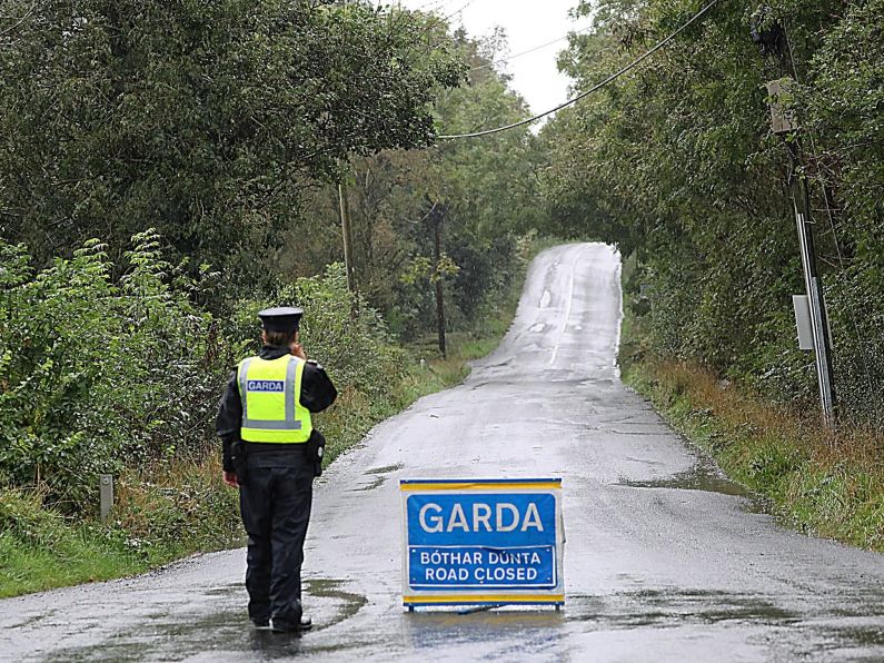 Gardaí found 'Forensic Casebook' at home of Lunney accused