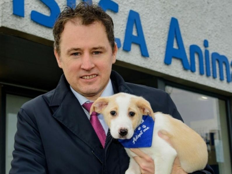 €85,750 in funding for Waterford Animal Welfare Groups