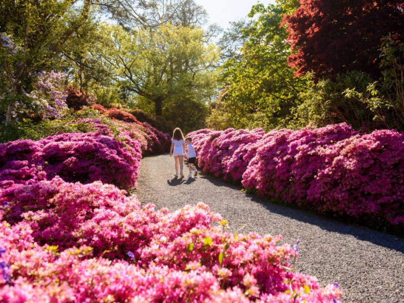 Restoration works and new carpark additions to Mount Congreve