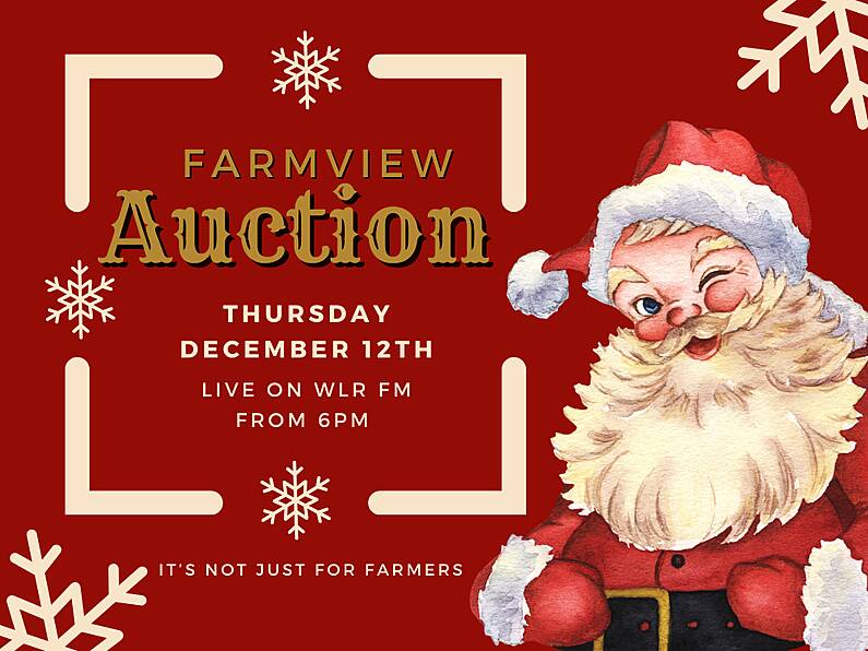 WLR Christmas Appeal Farmview Auction