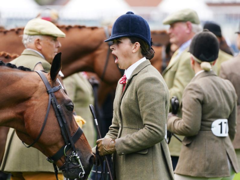 Thousands of spectators enjoy return of Dublin Horse Show