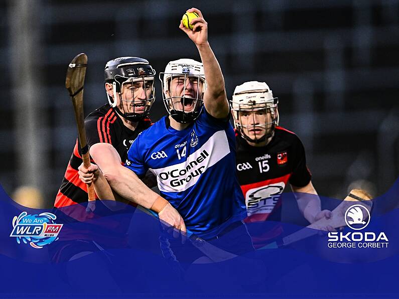 Superb Sarsfields and Shane O'Regan stun Ballygunner