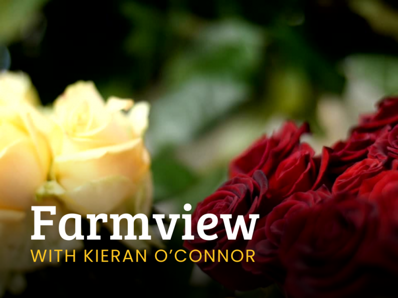 Listen Back: Farmview May 30th, 2024