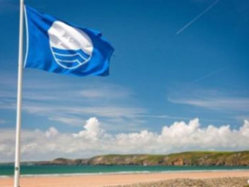 'Action plan' needed to restore Dunmore's Blue Flag
