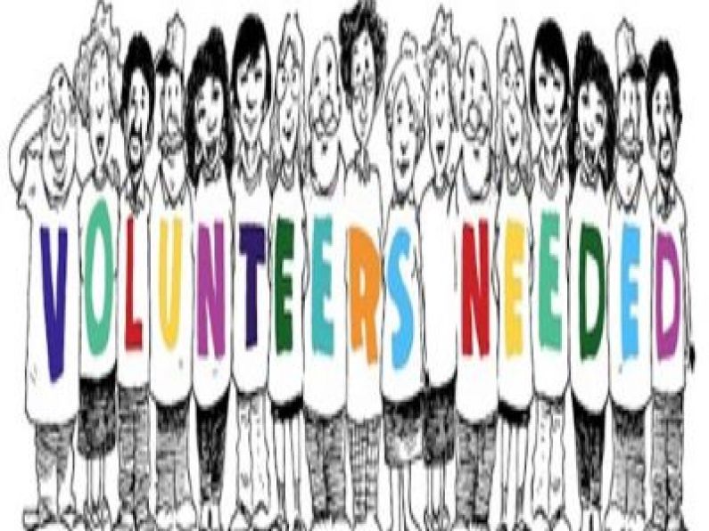 Brother of Charity Services, Volunteer Roles