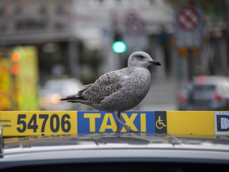 Taxi drivers and business owners voice frustrations on city centre road works