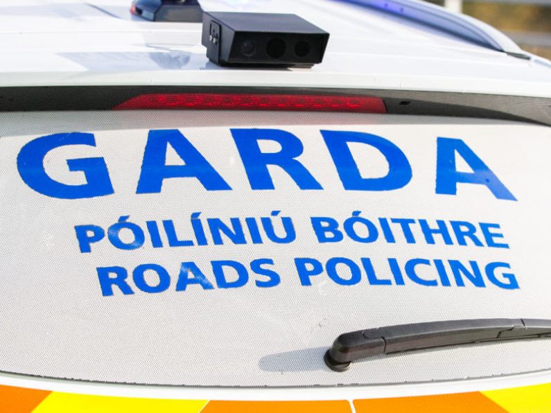 Drink-driver defecated near garda and then tried to smear him with faeces