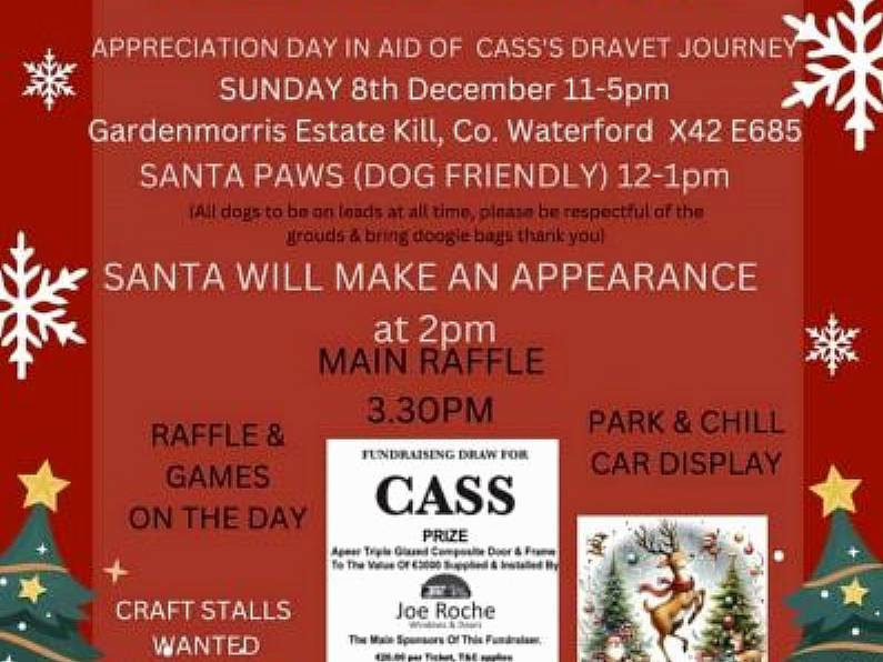 Christmas Craft Fair / Appreciation Day in aid of Cass's Dravet Journey - Sunday December 8th