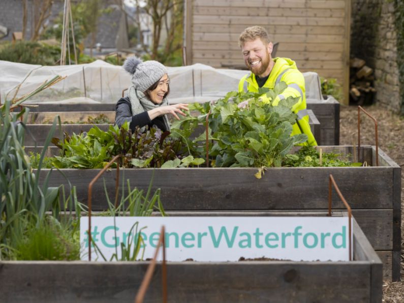 Climate Action funding for seventeen Waterford community groups