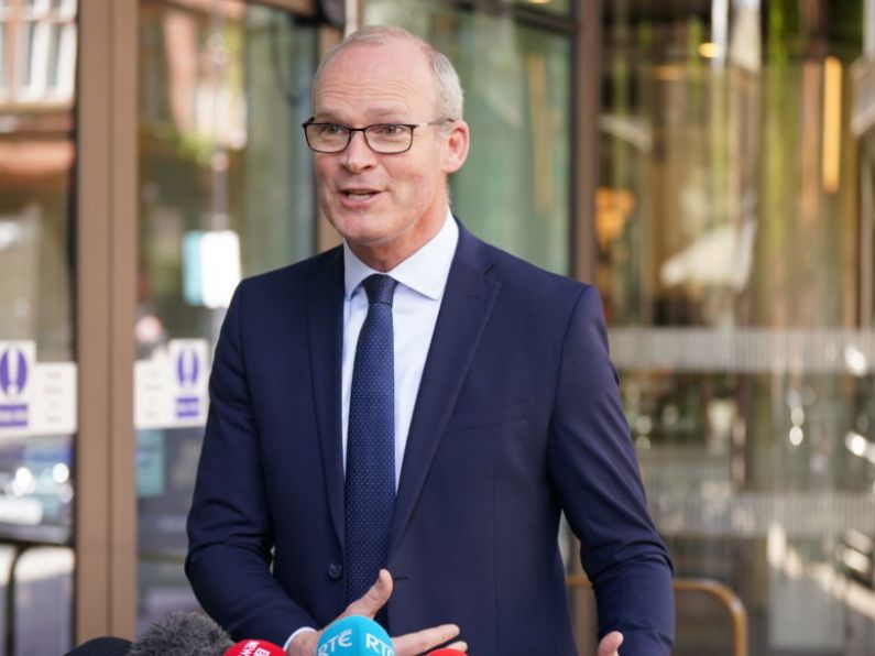 Coveney sees 'flicker of optimism' after Northern Ireland Protocol talks