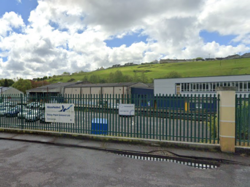 Dulux factory in Cork to close