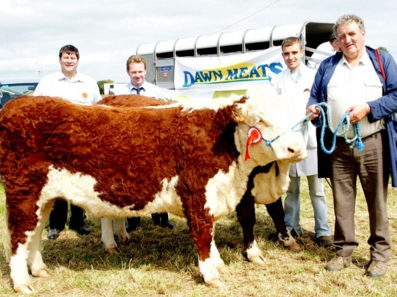 Huge crowds expected in Dungarvan today for 103rd edition of Waterford's only agricultural show