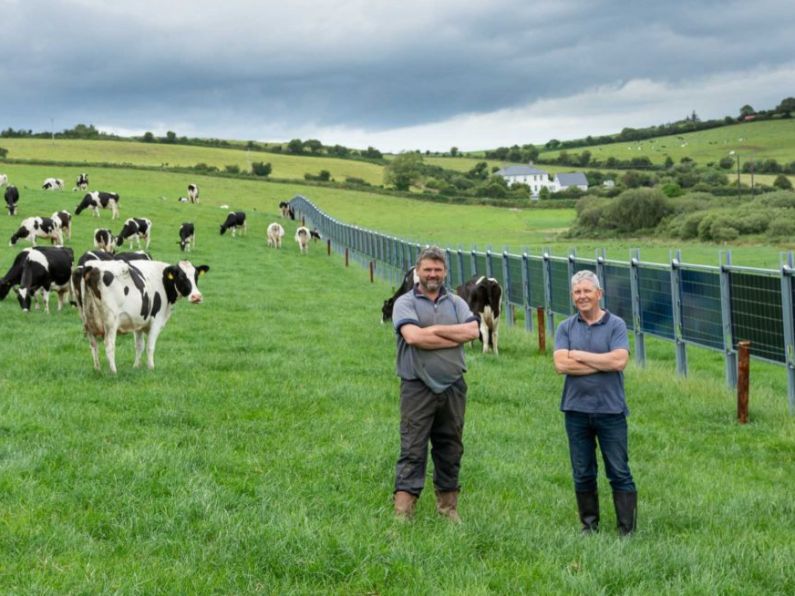 Waterford farmers finalists for National Dairy Awards
