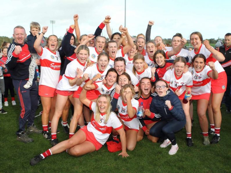 Blockbuster rematch in store for senior camogie final