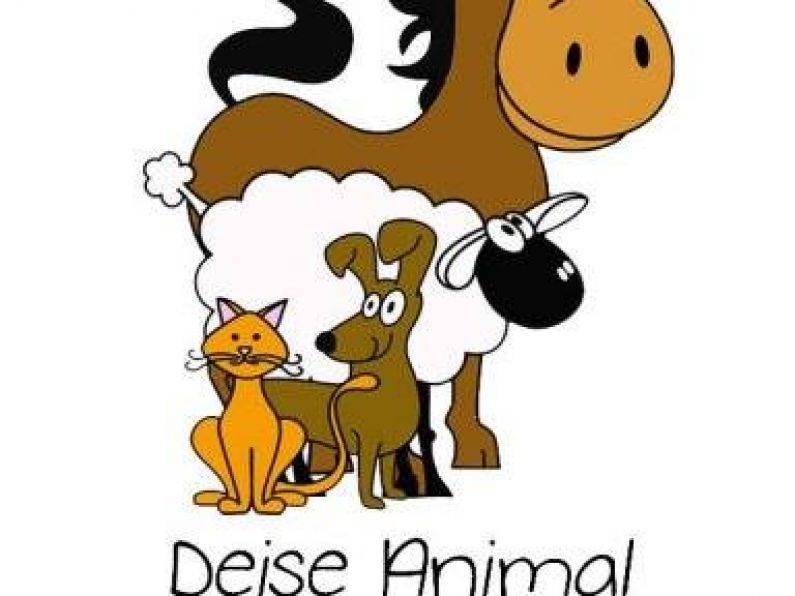 A special concert in support of Déise Animal Sanctuary - Sunday December 3rd