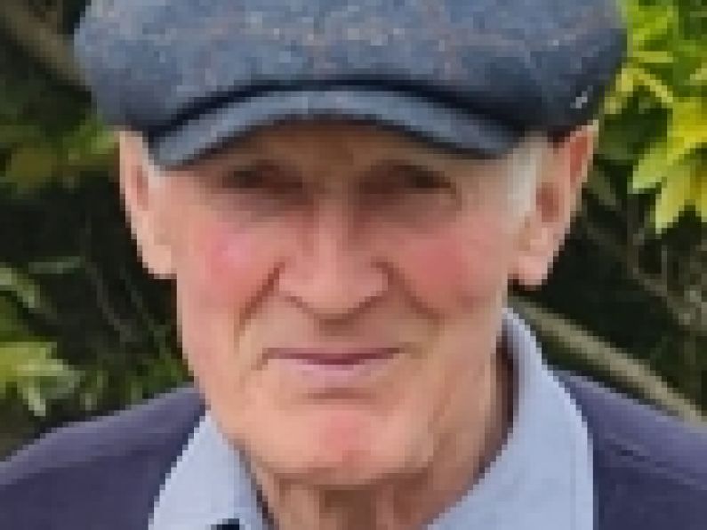 Denis O'Hara, Owning, Piltown, Kilkenny