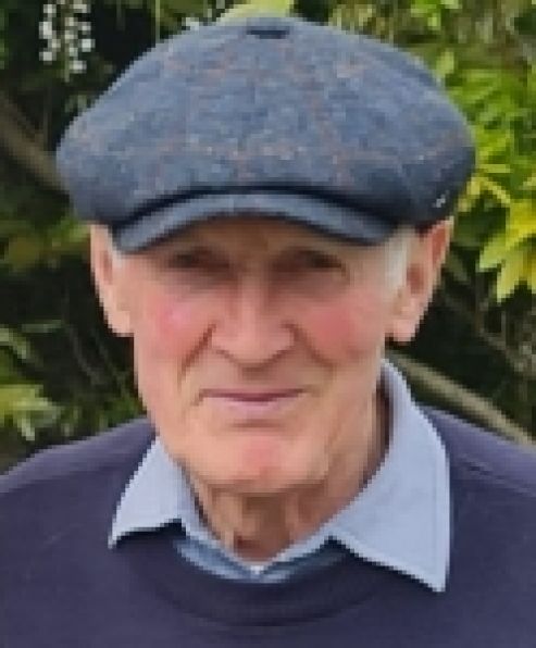 Denis O'Hara, Owning, Piltown, Kilkenny