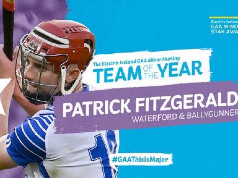 Patrick Fitzgerald named on Minor Hurling Team Of The Year