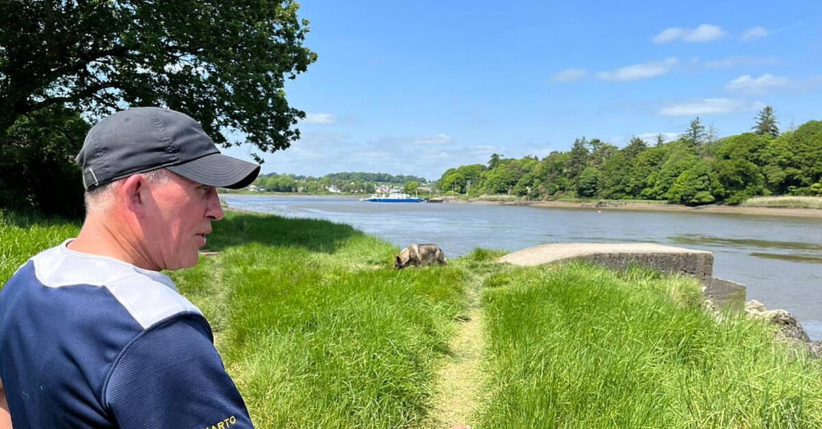 Ballinakill resident speaks of relief at housing plan refusal - Vimarsana News