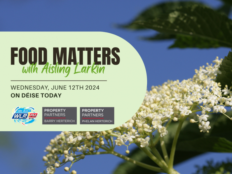 Food Matters - Elderflower and Elderberries