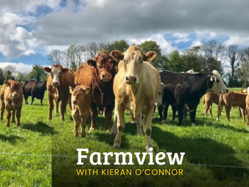 Listen Back: Farmview July 18th, 2024