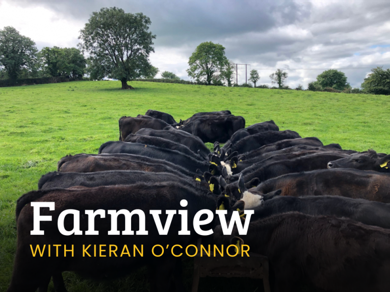 Listen Back: Farmview July 4th, 2024