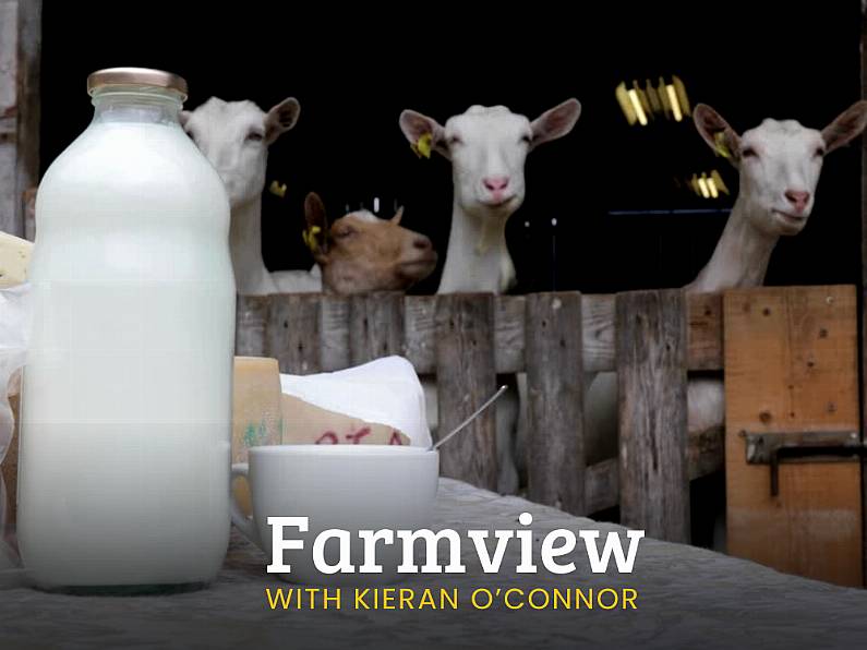 Listen Back: Farmview Nov 14th, 2024