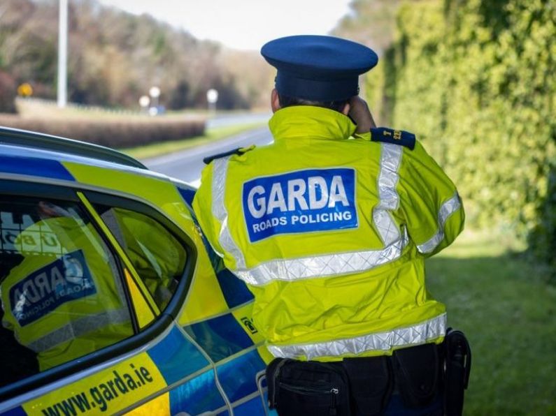 Gardaí check speeds of thousands of motorists for National Slow Down Day