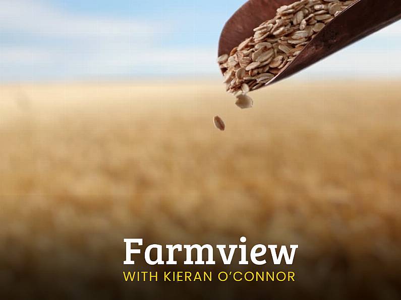 Listen Back: Farmview November 21st 2024