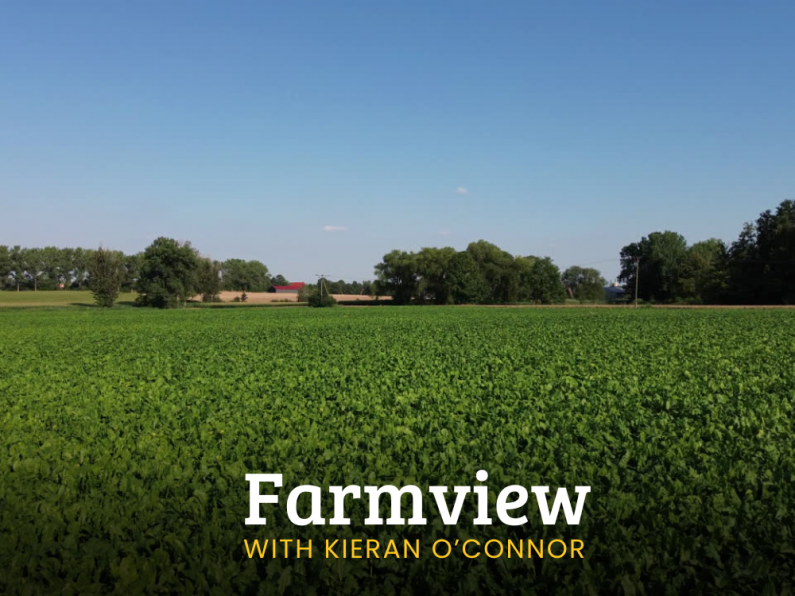 Listen Back: Farmview Oct 10th, 2024