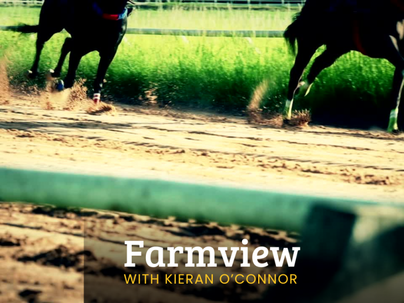 Listen Back: Farmview Aug 15th, 2024