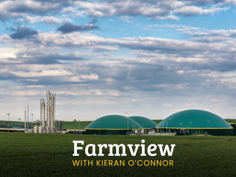 Listen Back: Farmview Oct 17th, 2024