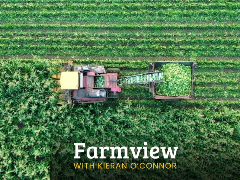 Listen Back: Farmview July 25th, 2024