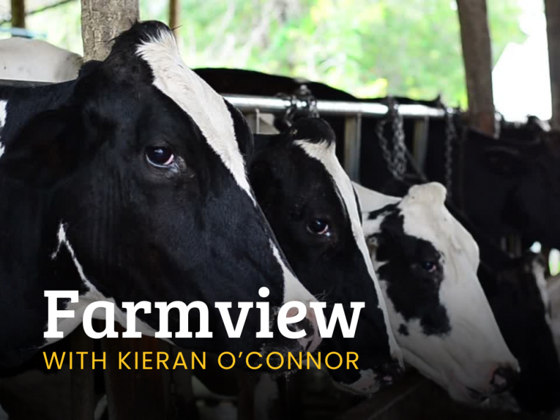 Listen Back: Farmview May 9th, 2024